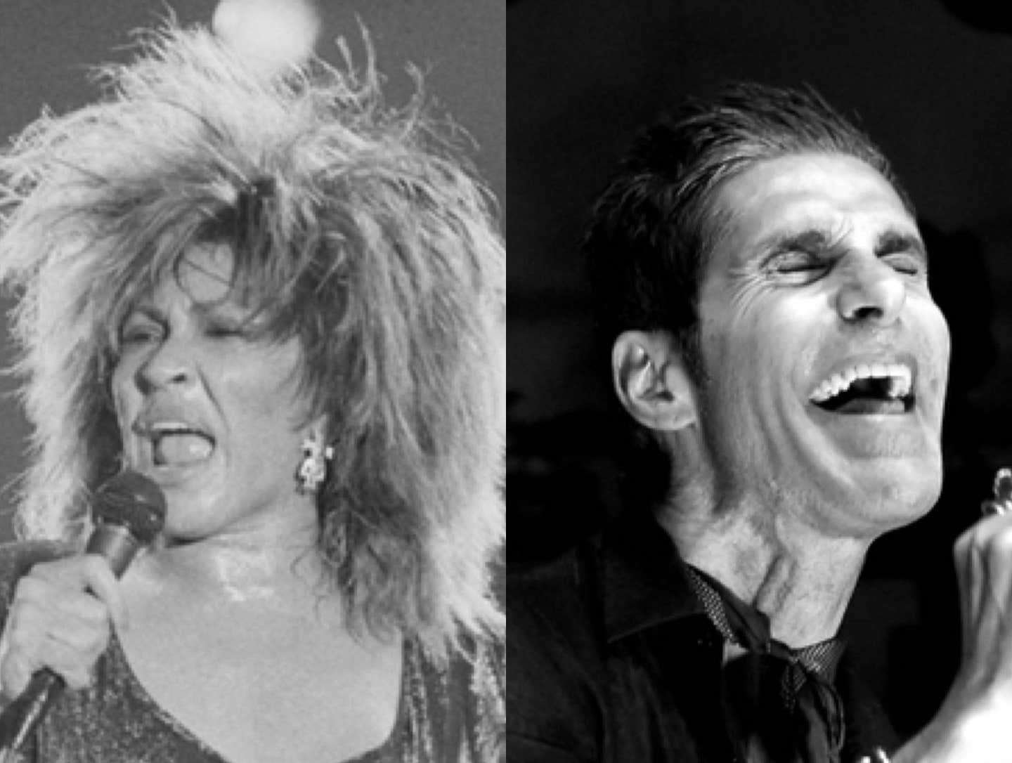 Tina Turner and Perry Farrell