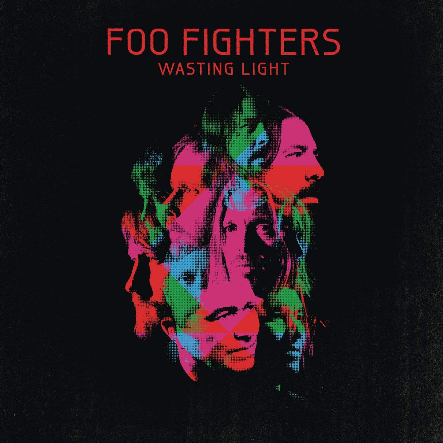 wasting-light-2.jpg