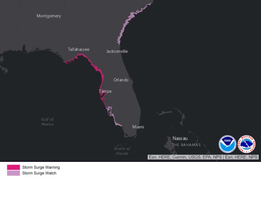 Tropical Storm Idalia Storm Surge