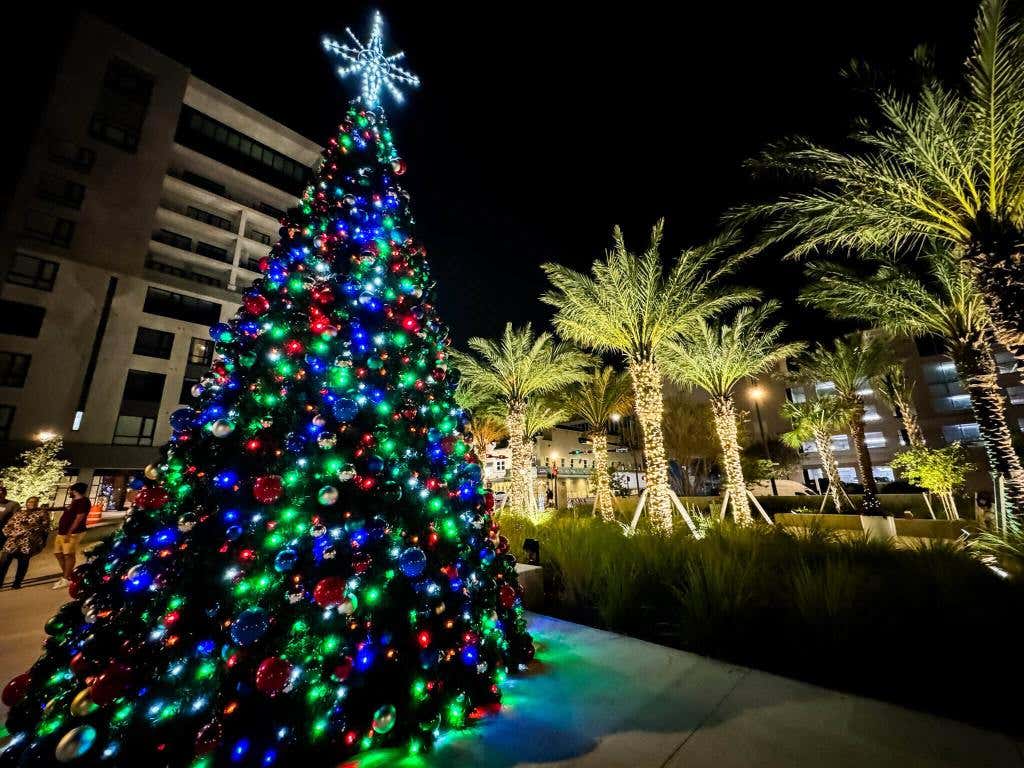 Florida woman beats boyfriend with christmas decorations, just like this Christmas tree