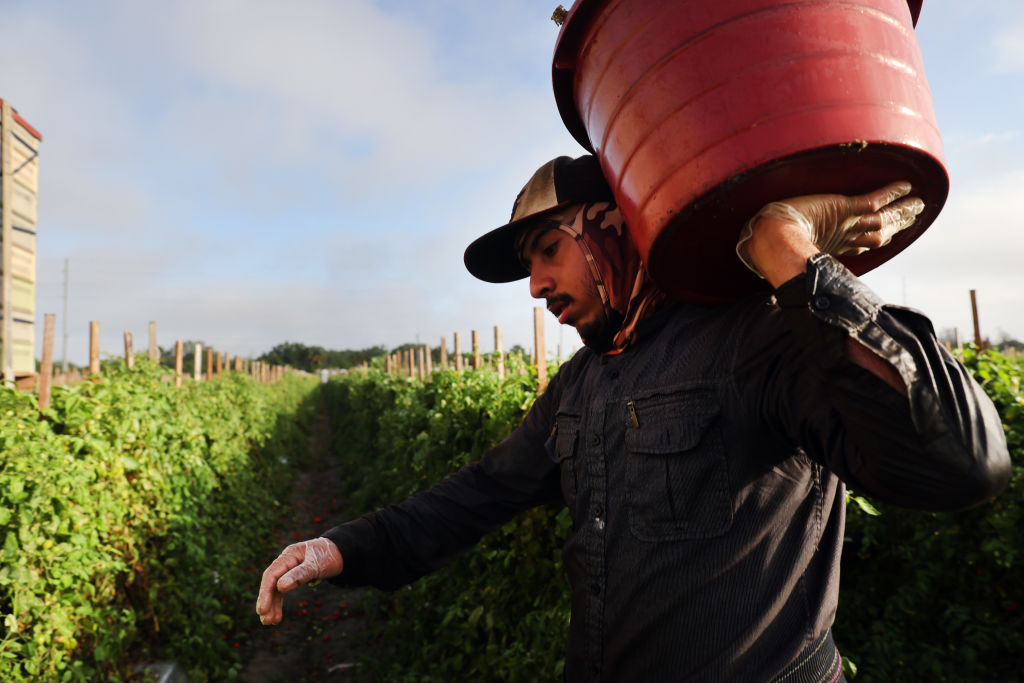 Immokalee farm worker