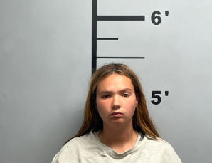 Shalene Ehlers mugshot