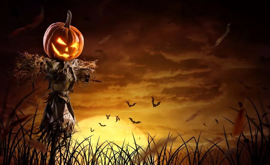 Scarecrow with menacing pumpkin head in a field with a dark sunset and birds flying for fall festivals in Southwest Florida