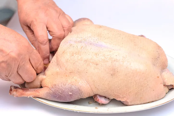 Woman hands stuffed by apples raw goose or duck on white background. The process of cooking stuffed duck with apples. Cooking at holiday time concept. Turkey Tips For Thanksgiving