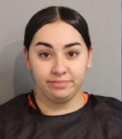 Brianna Alvelo mugshot.